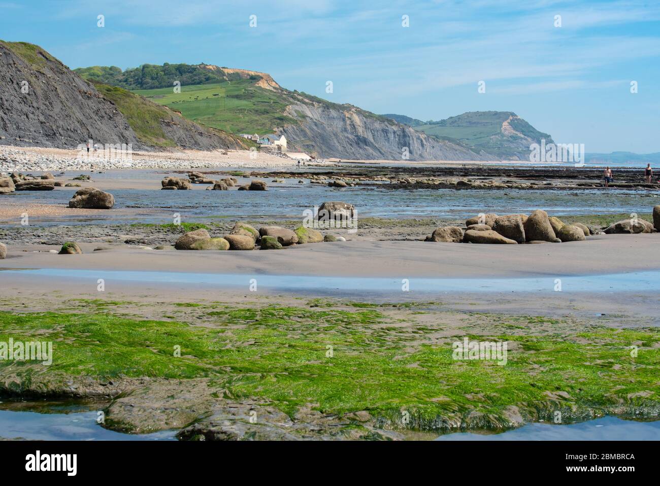 Charmouth Dorset, Regno Unito. 8 maggio 2020. UK Weather: Un pomeriggio caldo e soleggiato in riva al mare a Charmouth, West Dorset. Una spiaggia vuota con la Costa Jurassic e il cappello d'Oro sullo sfondo durante la pandemia di coronavirus. Credit: Celia McMahon/Alamy Live News Foto Stock