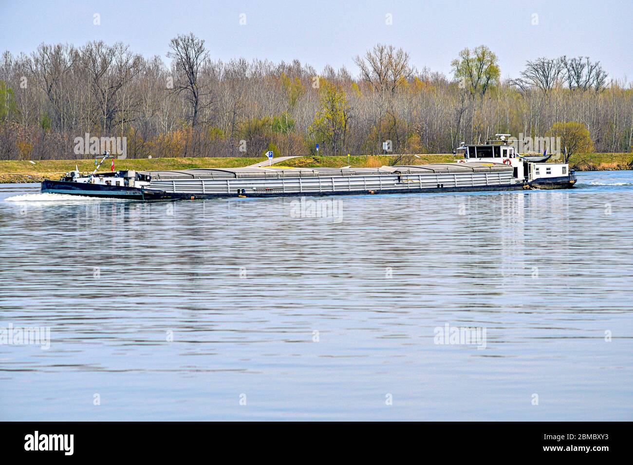 Nave da trasporto a monte, molto carico, che si trova sul Danubio prima di una foresta ripariale a Tulln, Austria Foto Stock