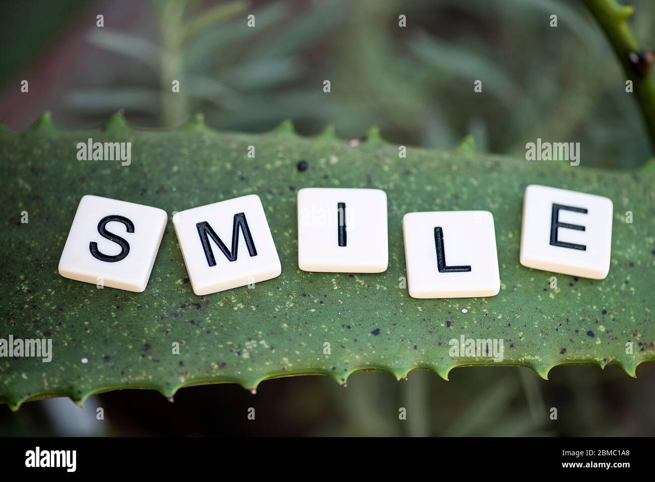 Sorridi in lettere a blocchi Foto Stock