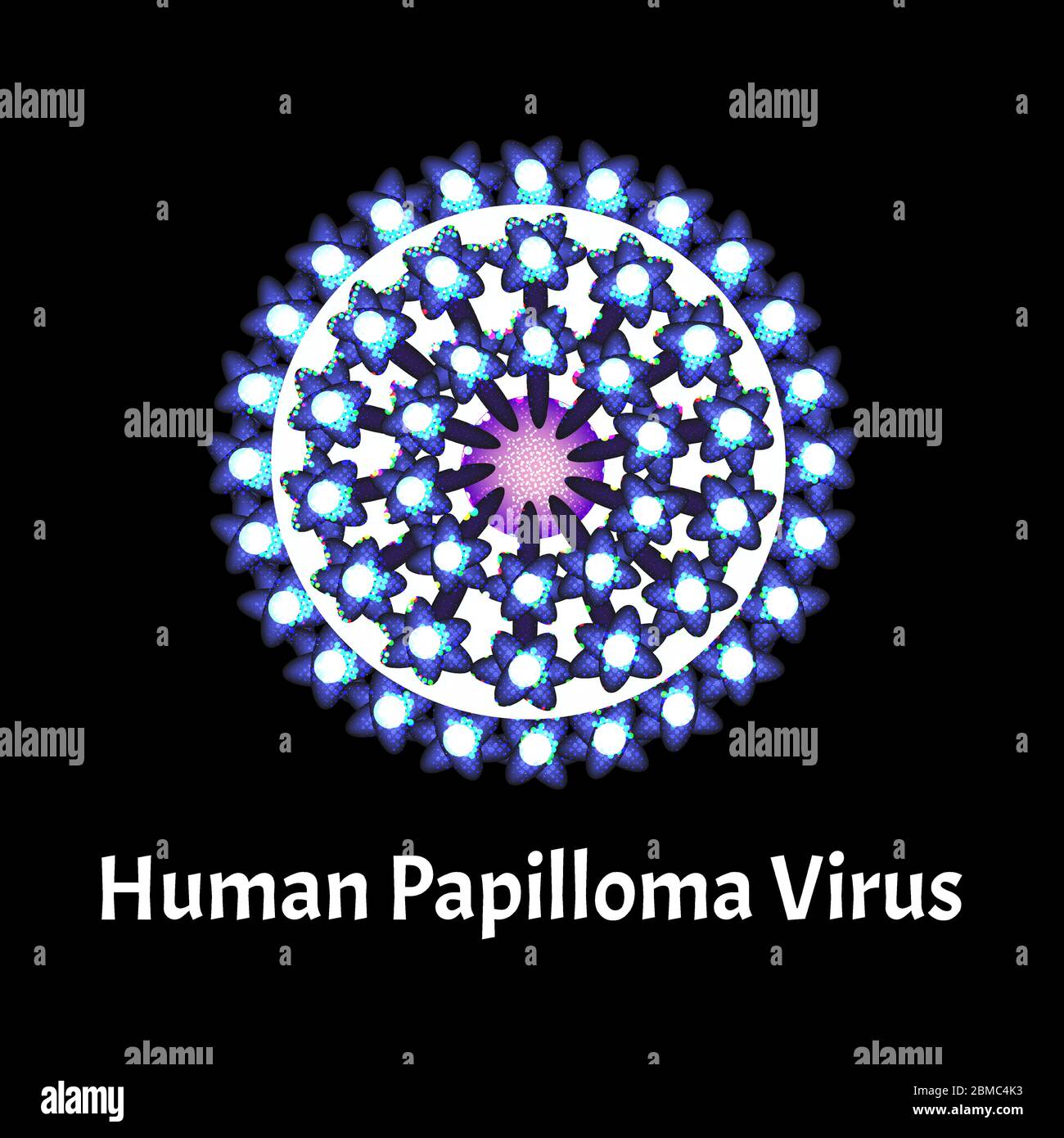Il papilloma è una struttura virale umana. Infezione da papilloma virus. Malattie sessualmente trasmissibili. Infografiche. Illustrazione del vettore su isolato Illustrazione Vettoriale