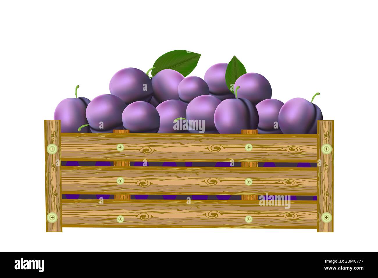 Prugne in scatola isolato su sfondo bianco. Cassa di susine succose. Eco fattoria, mercato, trasporto. Etichetta, pacchetto, banner, icona. Illustrazione vettoriale Illustrazione Vettoriale