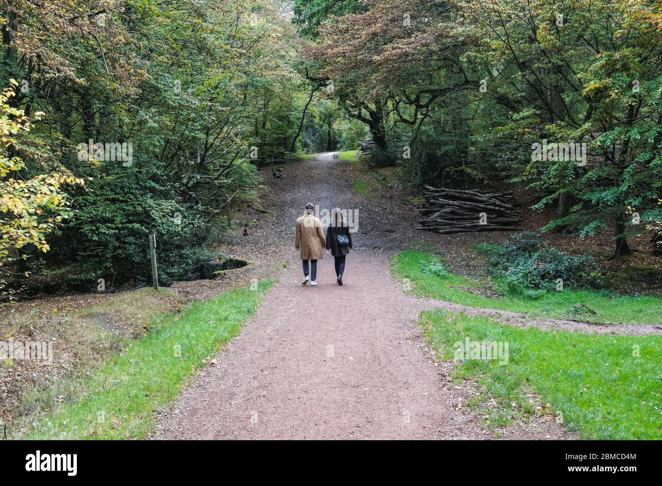 Vista posteriore della giovane coppia che cammina nella foresta Foto Stock
