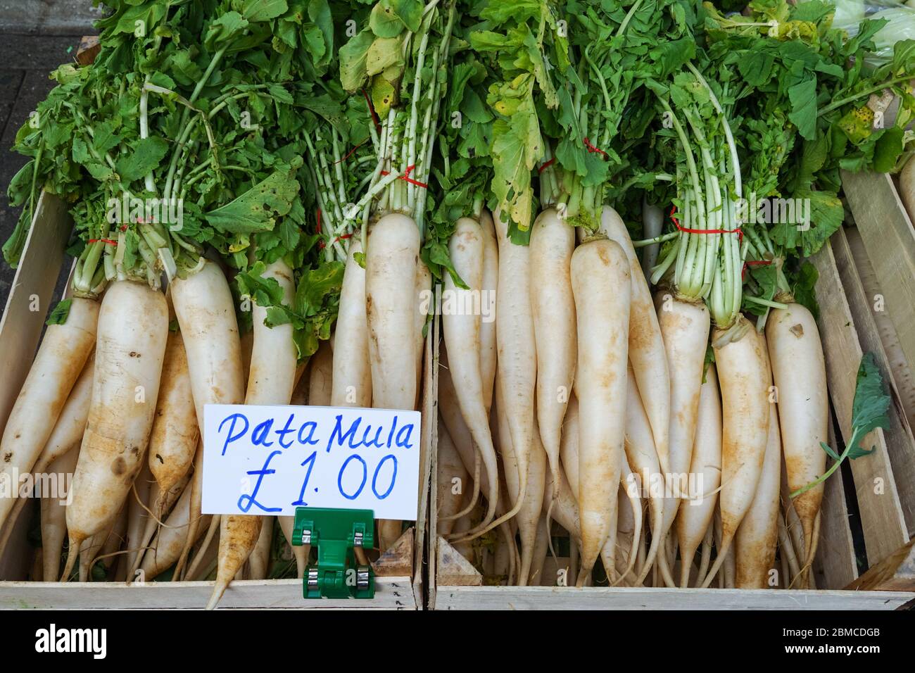 Rafano (Mula) verdure asiatiche per la vendita al mercato locale nel Regno Unito Foto Stock