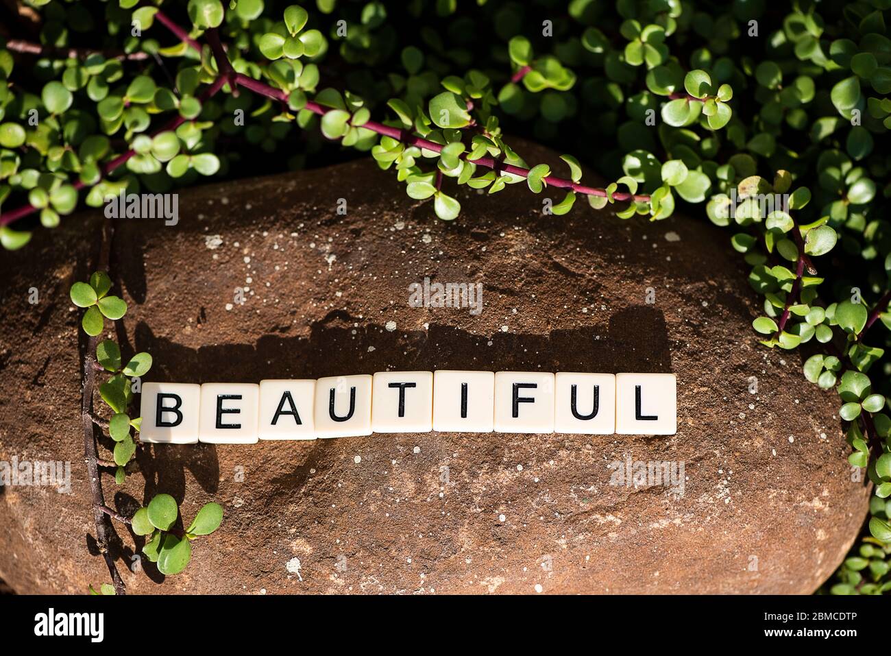 La parola bella in lettere a blocchi Foto Stock