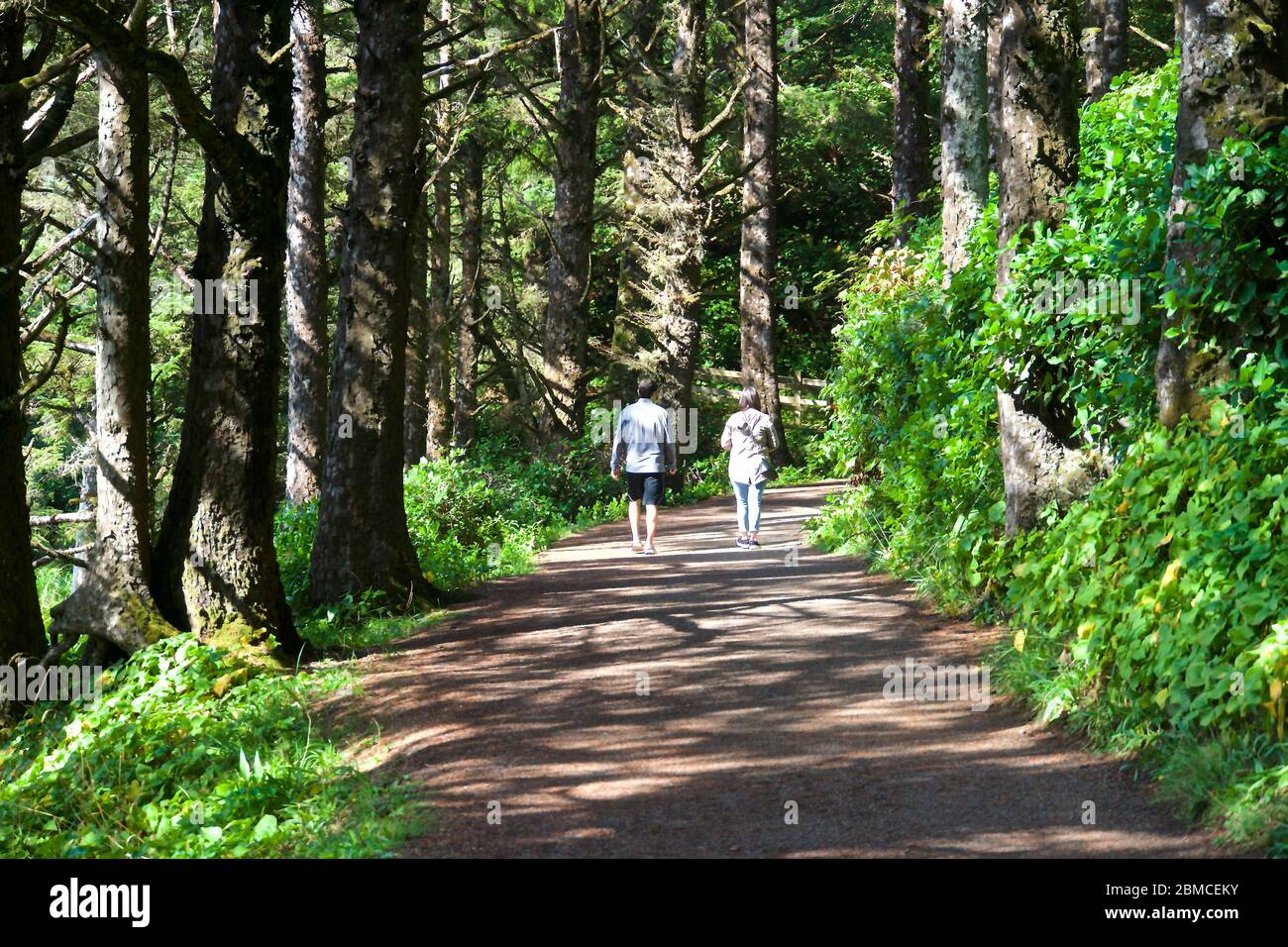 Mountain Trail in Oregon Foto Stock