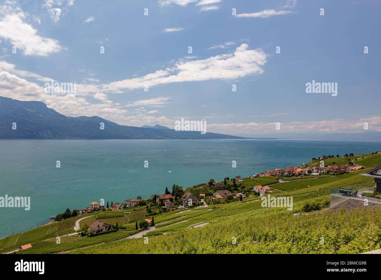 Vista panoramica sul fantastico Lago di Ginevra. Case di campagna circondate da vigneti verdi. Zona vicino al Mont Pelerin - montagna dell'altopiano svizzero, overl Foto Stock