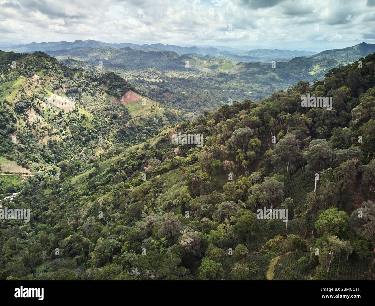 Tema agricolo in vista tropicale drone aereo in giorno di sole Foto Stock