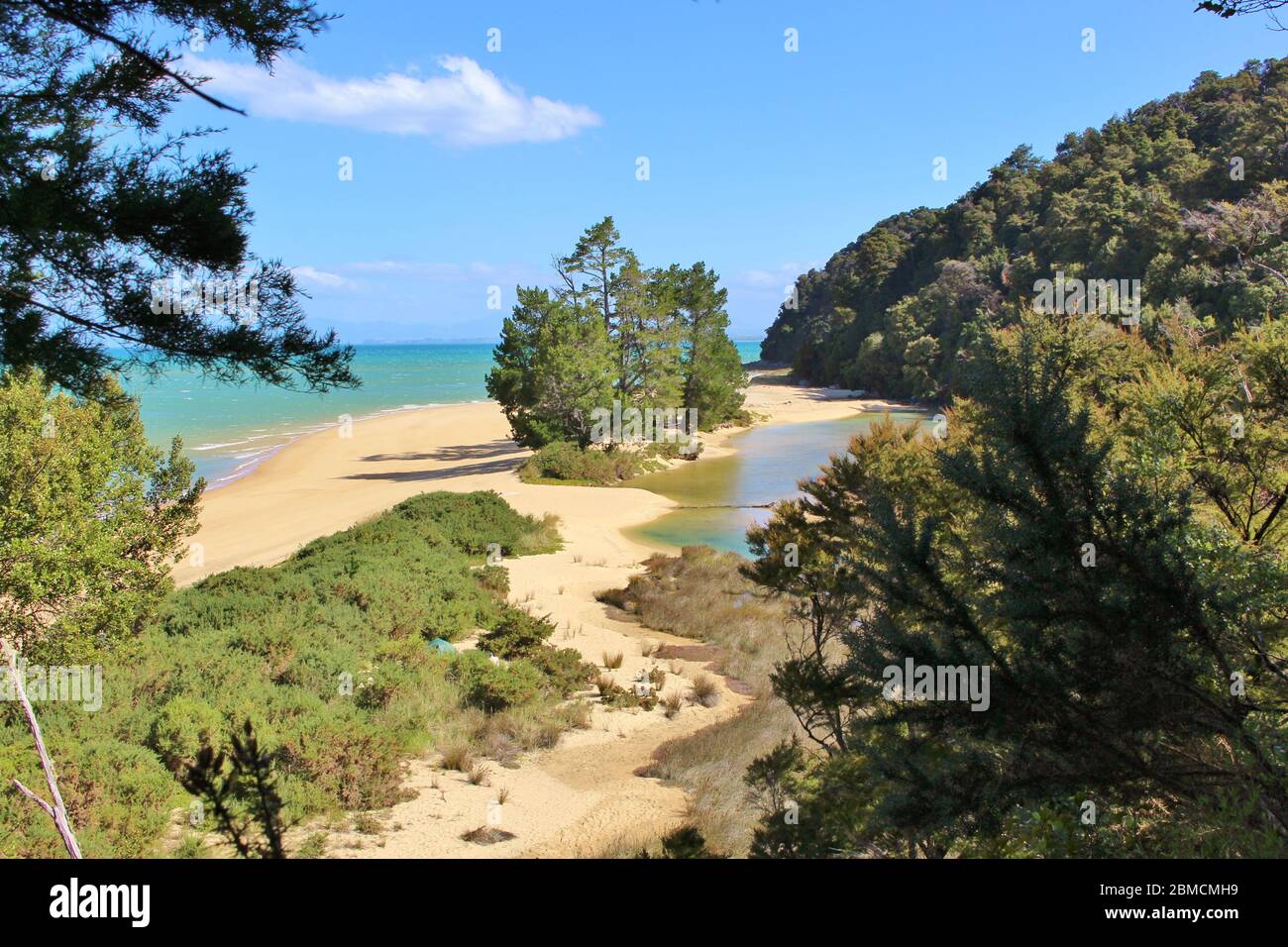 Magnifica Apple Tree Bay con pini sulla spiaggia nel Parco Nazionale Abel Tasman. La splendida baia verde con acqua di mare è circondata da foreste Foto Stock