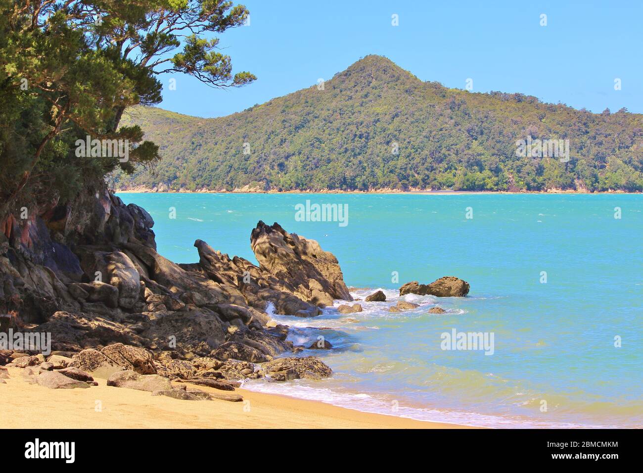 Magnifica Apple Tree Bay con pini sulla spiaggia nel Parco Nazionale Abel Tasman. La splendida baia verde con acqua di mare è circondata da foreste Foto Stock