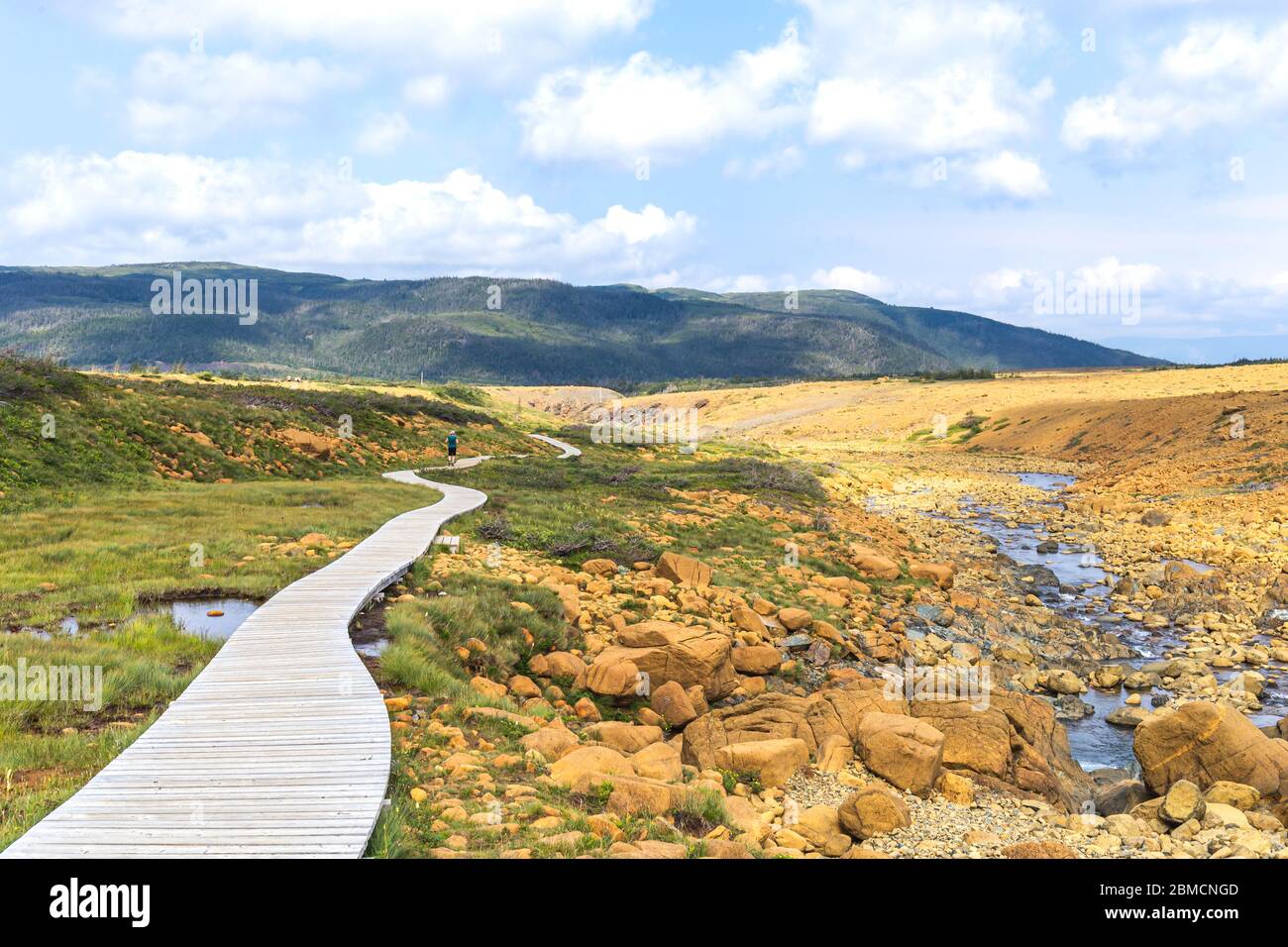 Il Boardwalk su alpeggi Trail, Parco Nazionale Gros Morne, Terranova e Labrador, Canada Foto Stock