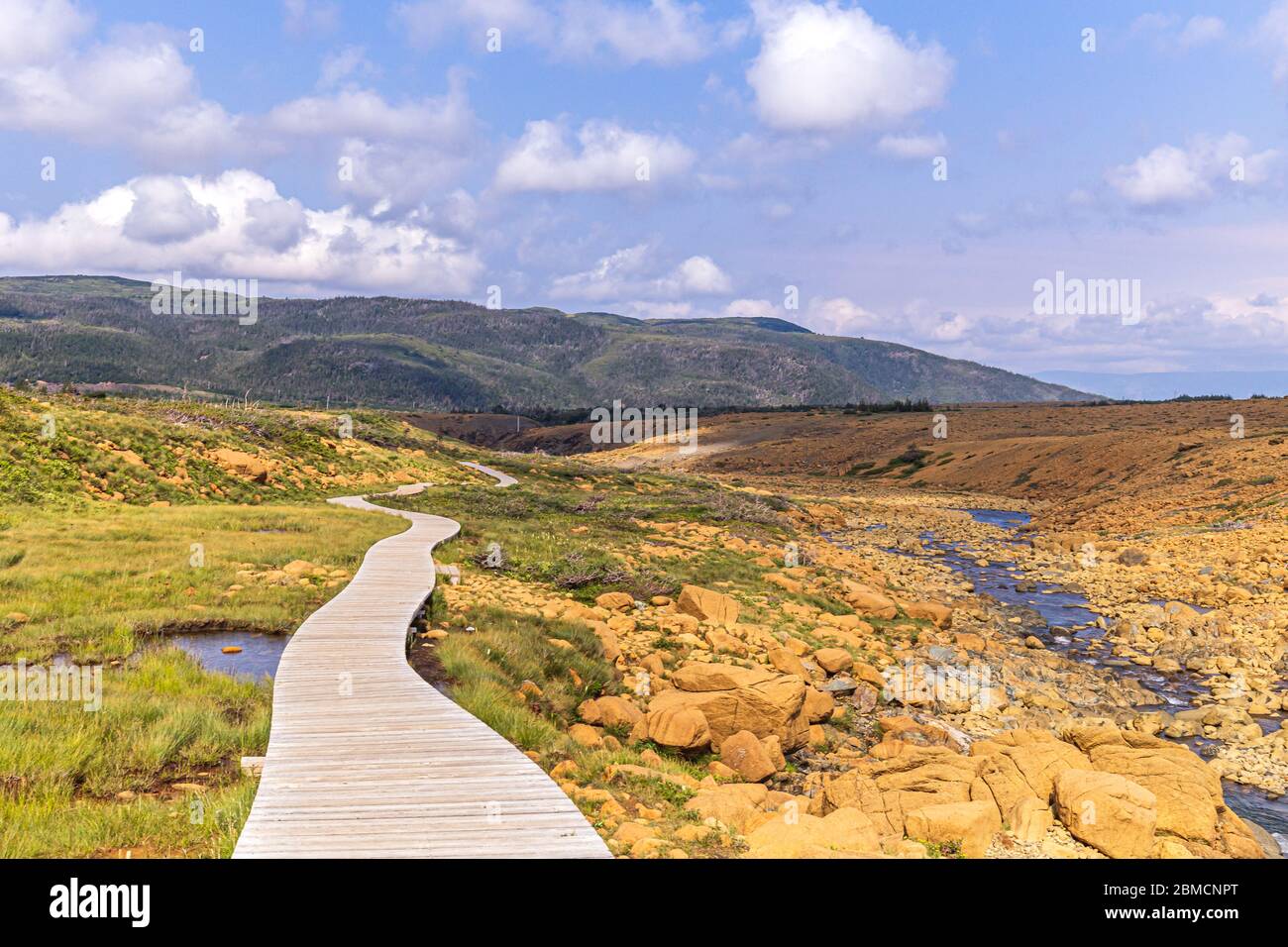 Il Boardwalk su alpeggi Trail, Parco Nazionale Gros Morne, Terranova e Labrador, Canada Foto Stock