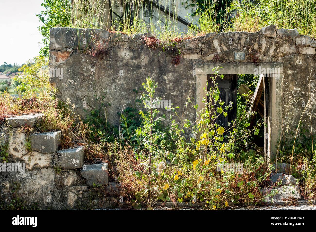 edificio abbandonato preso dalla natura Foto Stock