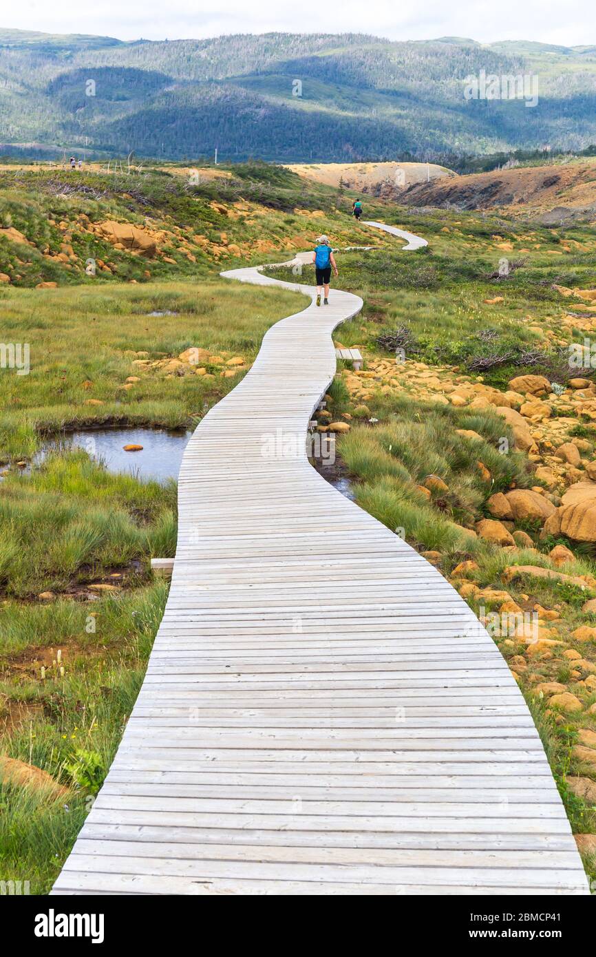 Il Boardwalk su alpeggi Trail, Parco Nazionale Gros Morne, Terranova e Labrador, Canada Foto Stock
