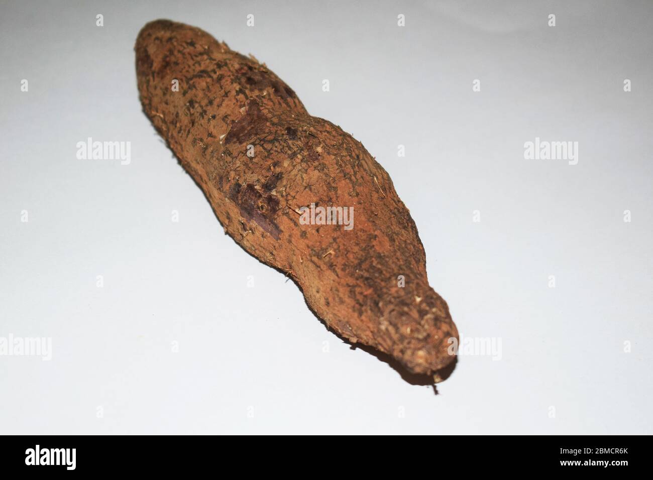 Primo piano di Yam Tuber radici di yam vegetale dall'India, un pezzo isolato su sfondo bianco Foto Stock