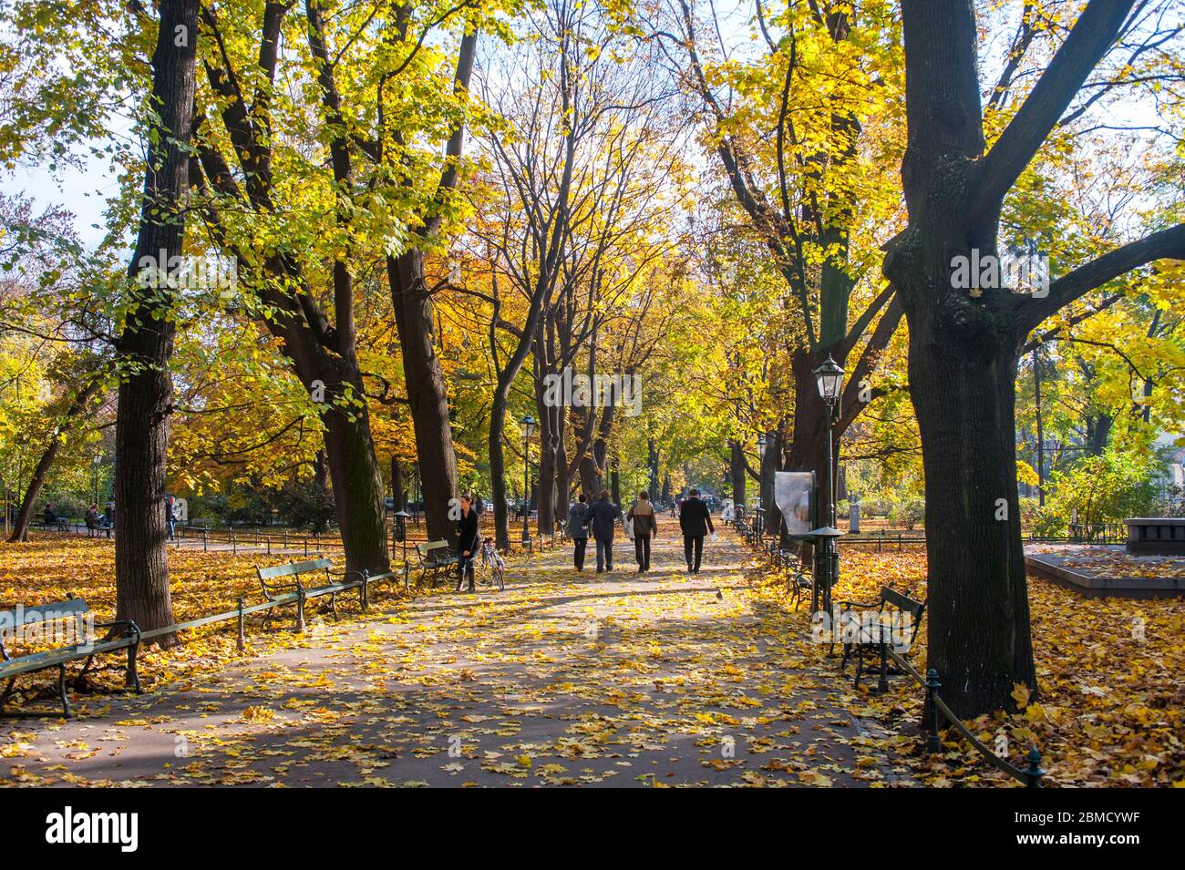 Alberi con colori autunnali in un parco cittadino a Cracovia, Polonia. Foto Stock