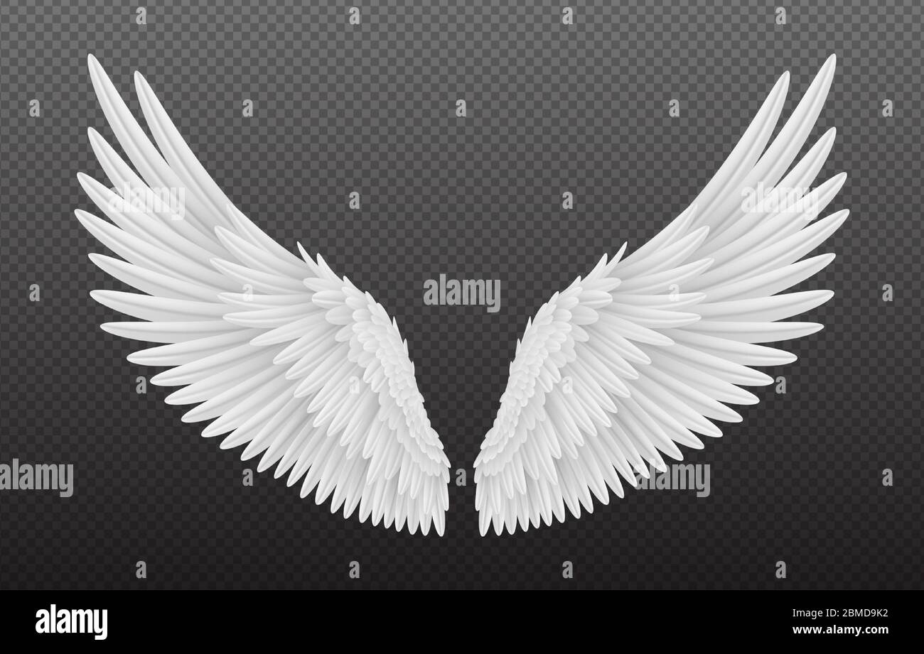 Coppia di belle ali bianche angelo isolato su sfondo trasparente, 3D realistico illustrazione vettoriale. Spiritualità e libertà Illustrazione Vettoriale