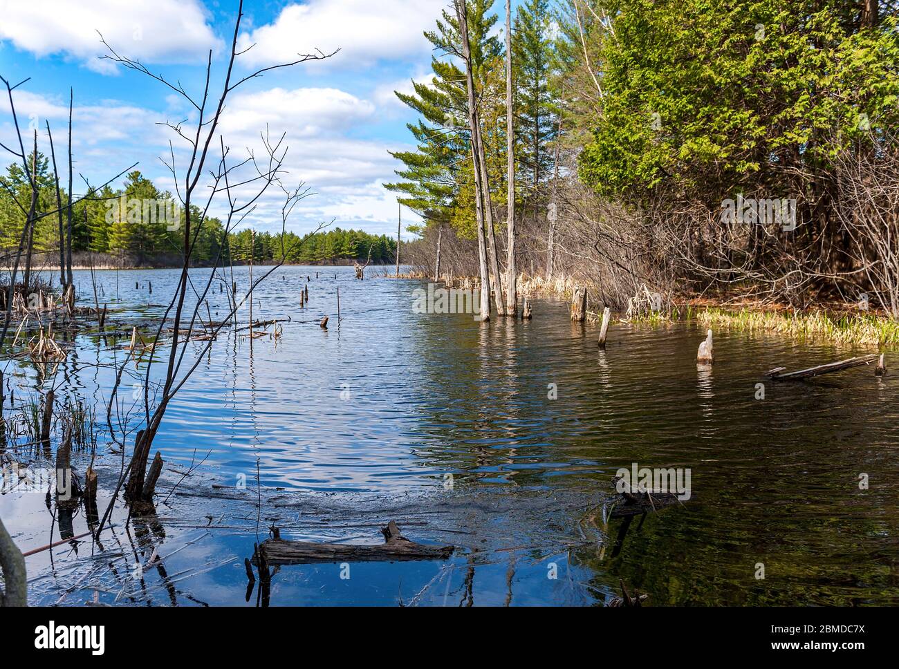 acque calme nel lago circondato da un litorale di trekking. Foto Stock