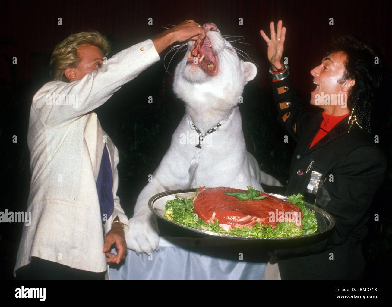 ***FOTO DI FIEL*** Roy Horn di Siegfried & Roy Dies di complicazioni da COVID-19. Siegfried & Roy, 1987, Foto di John Barrett/PHOTOlink /MediaPunch Foto Stock