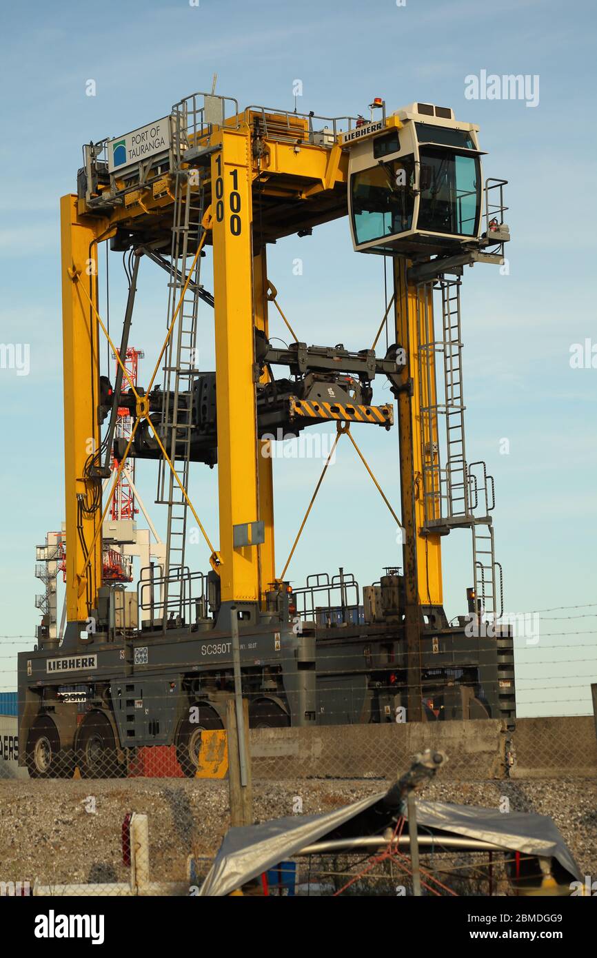 Porto di Tauranga Foto Stock