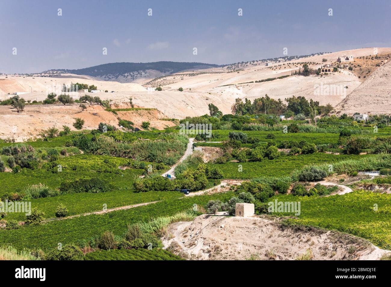 Fattoria agricola vicino Pella Ruins, Jordan Valley, Tabqet Fahel, Tabaqat Fahl, Irbit, governatorate Irbid, Giordania, Medio Oriente, Asia Foto Stock