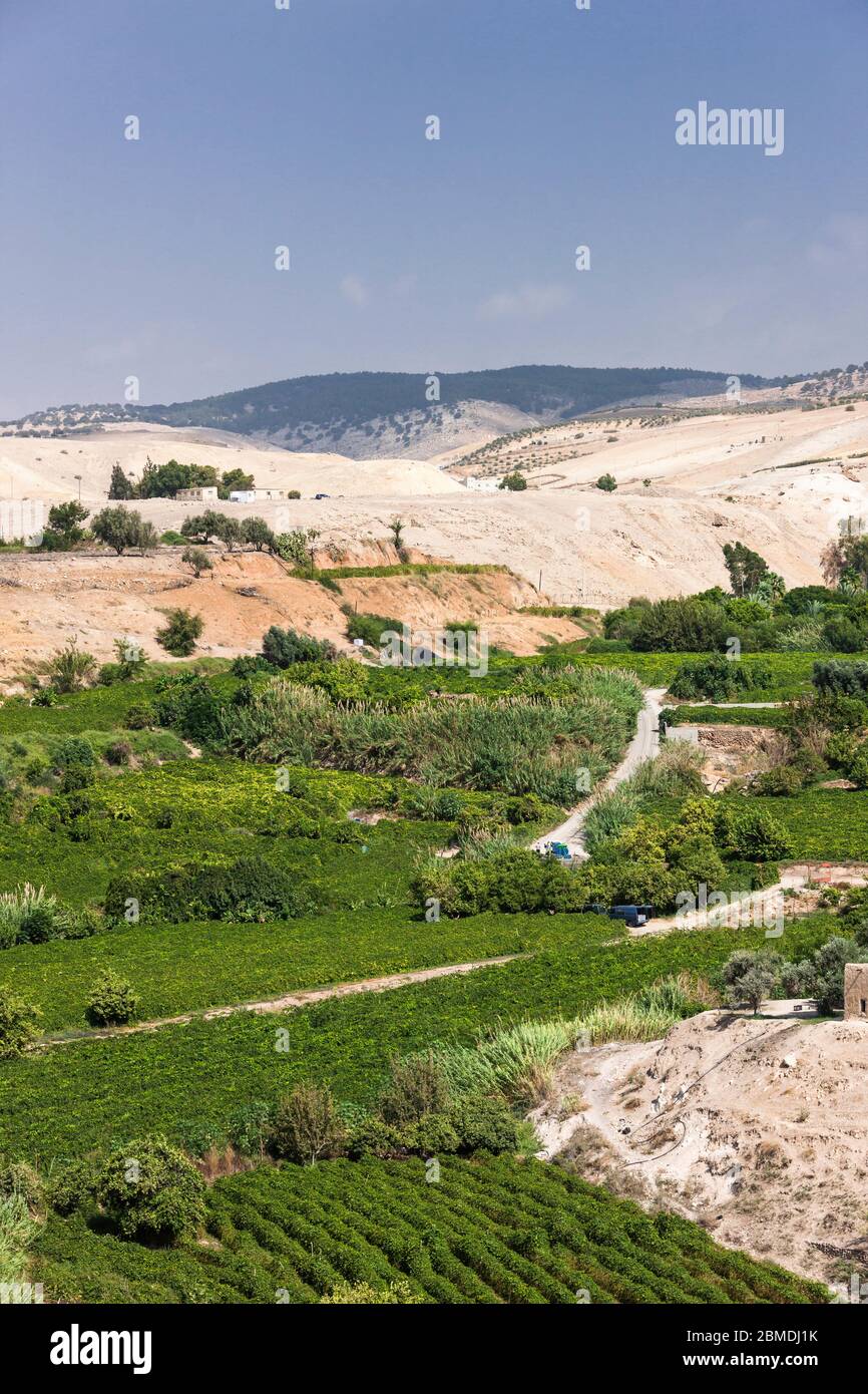 Fattoria agricola vicino Pella Ruins, Jordan Valley, Tabqet Fahel, Tabaqat Fahl, Irbit, governatorate Irbid, Giordania, Medio Oriente, Asia Foto Stock
