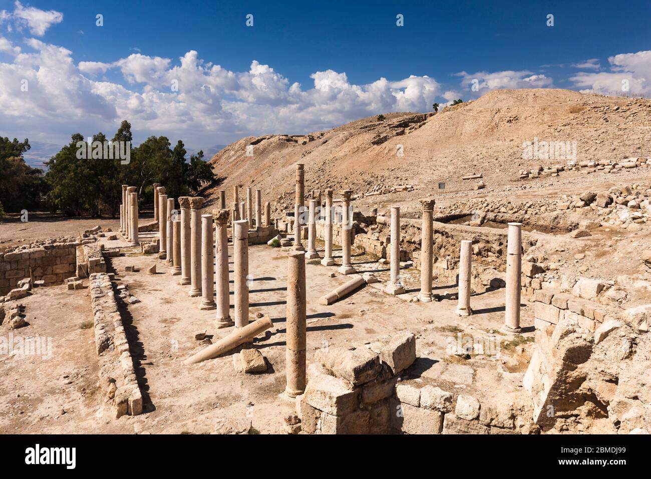 Chiesa della Cattedrale Bizantina, antiche rovine di Pella, antica Decapoli, Tabqet Fahel, Tabaqat Fahl, Irbit, governatorato Irbid, Giordania, Medio Oriente, Asia Foto Stock