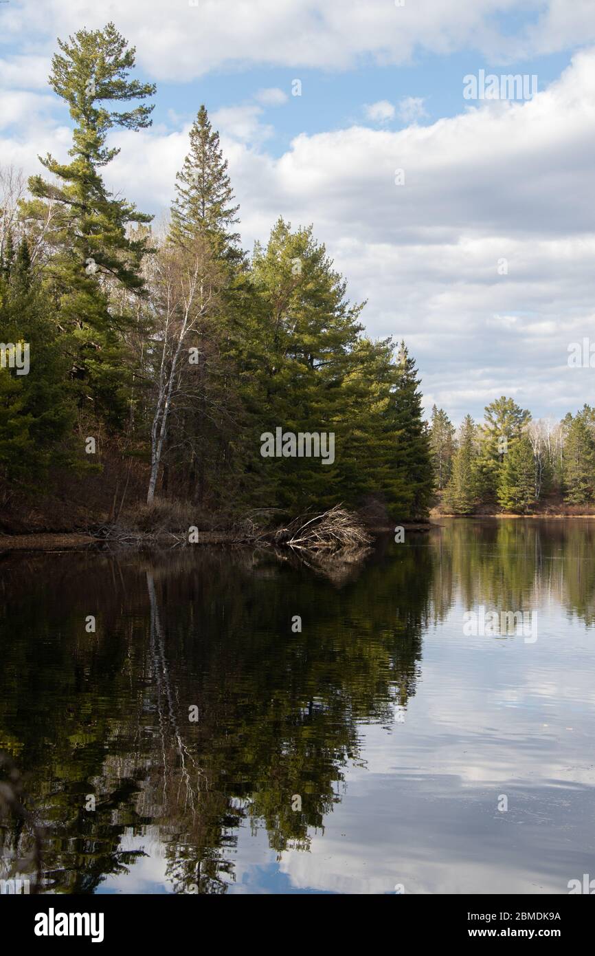 La foresta Evergreen si riflette in acque fisse nell'Ontario settentrionale Foto Stock