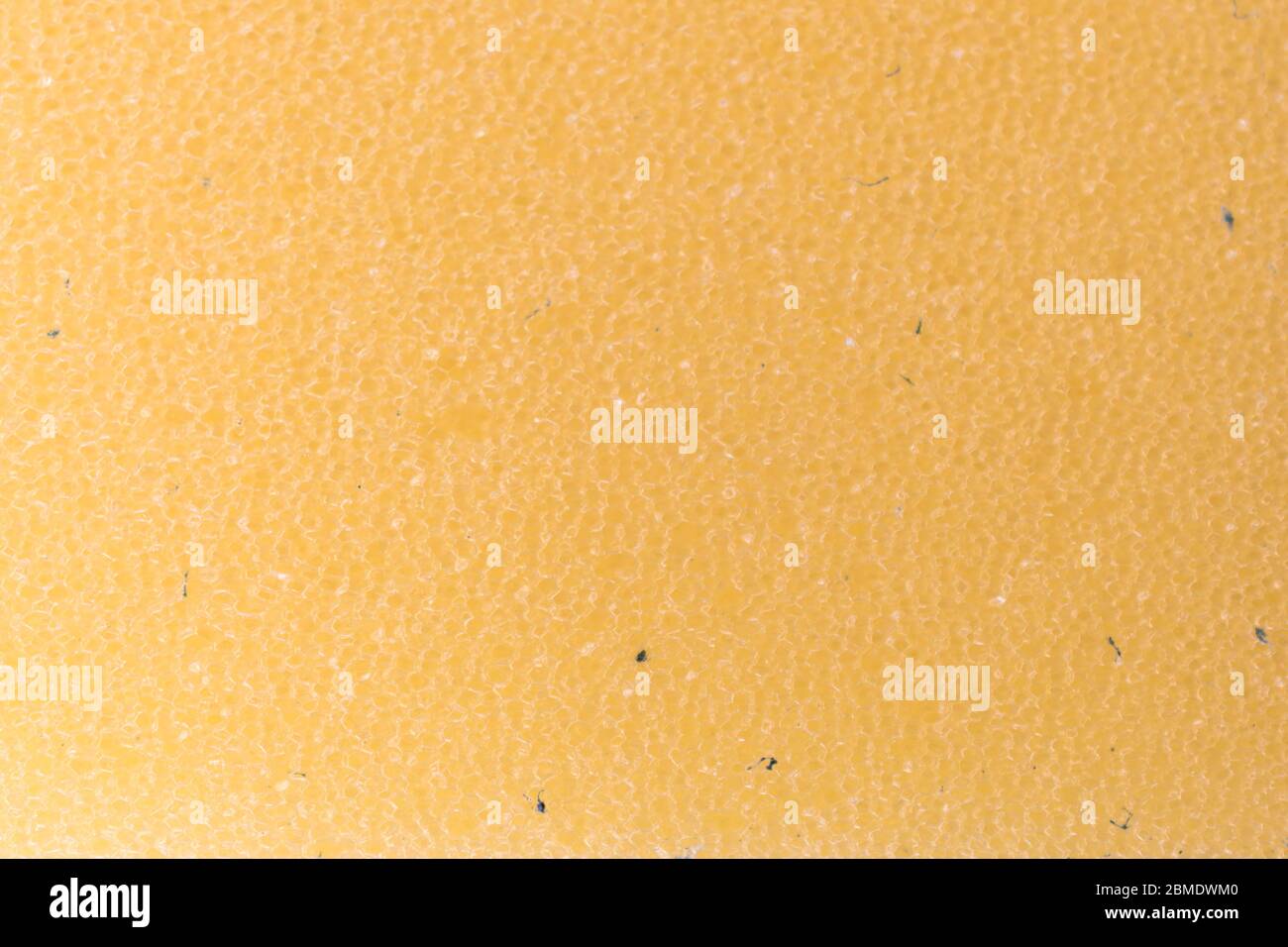 Consistenza arancione chiaro di una spugna. Chiudi texture arancione chiaro. Sfondo. Foto Stock