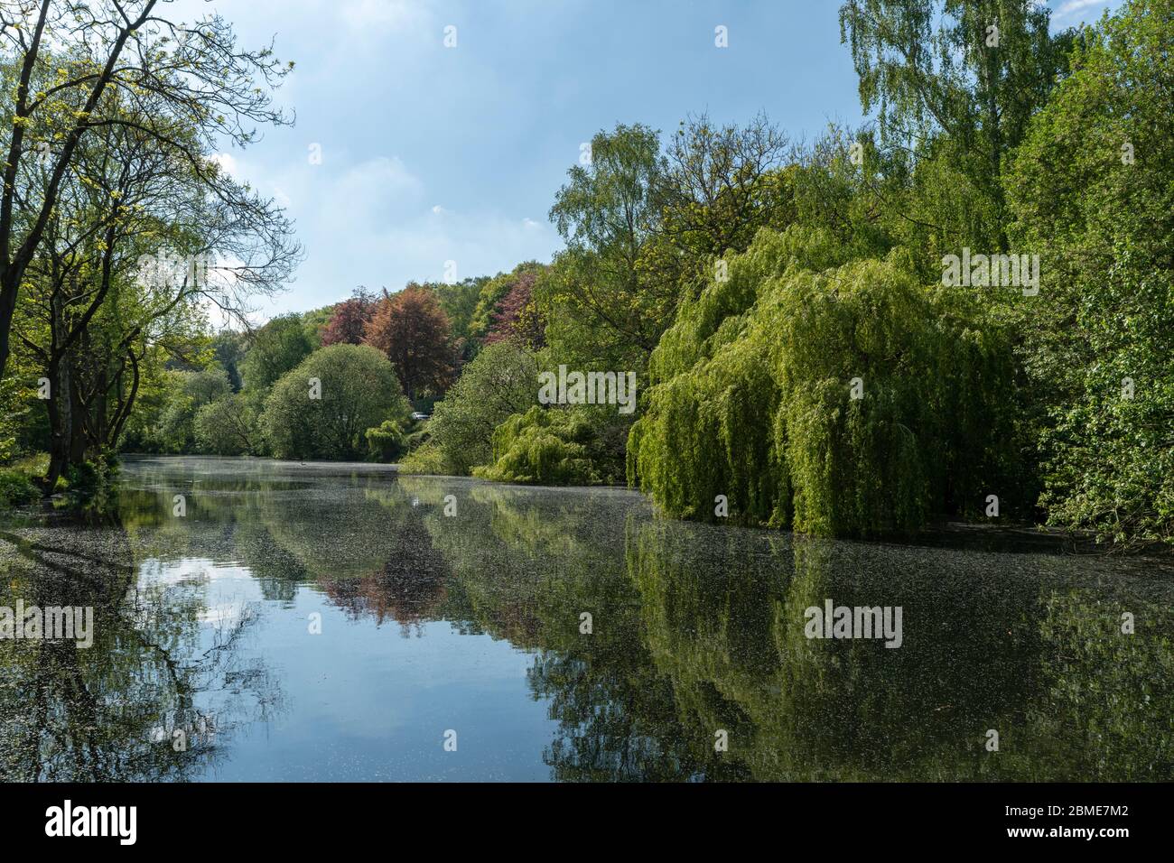 Diga di Magdale a Honley, West Yorkshire, Inghilterra Foto Stock