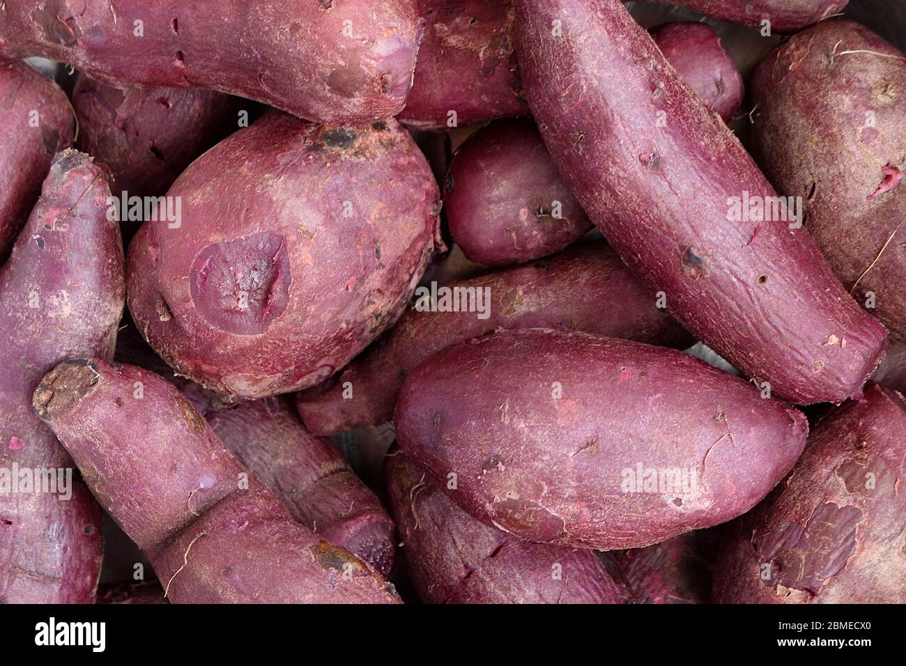 Vista dall'alto. Le patate dolci porpora bollite sono state impilate insieme. Foto Stock
