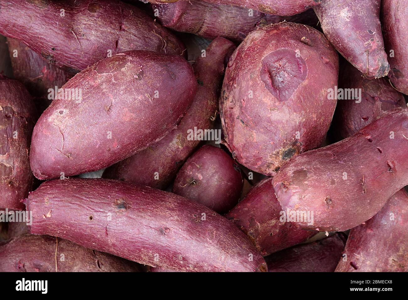 Vista dall'alto. Le patate dolci porpora bollite sono state impilate insieme. Foto Stock