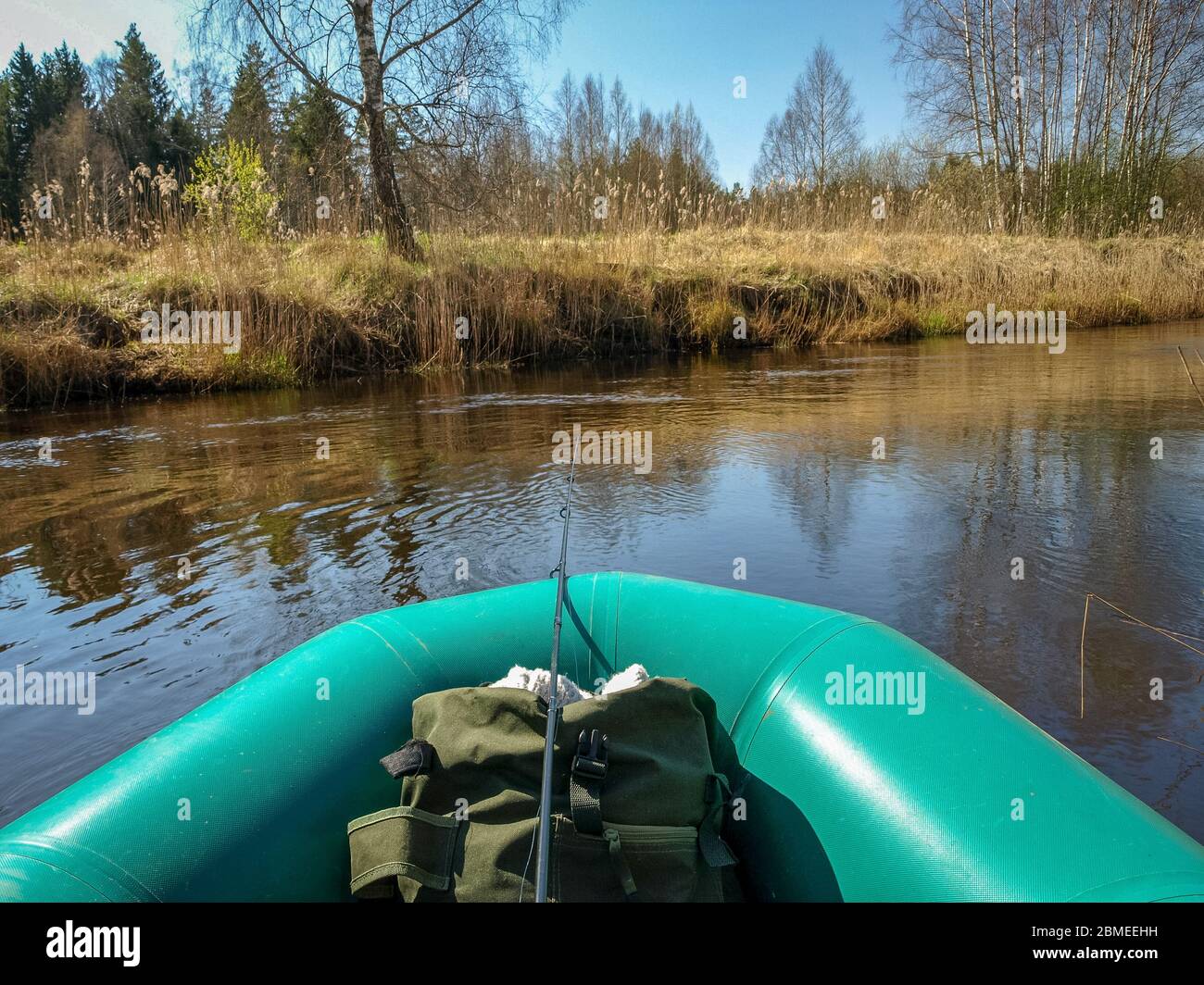 casa beaver nel prato del lago, paesaggio primaverile Foto Stock