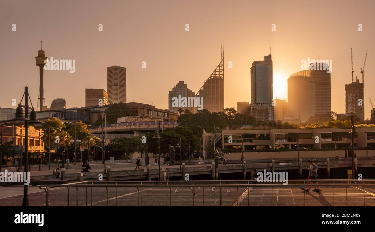 Tramonto sul CBD della città di Sydney. Foto Stock
