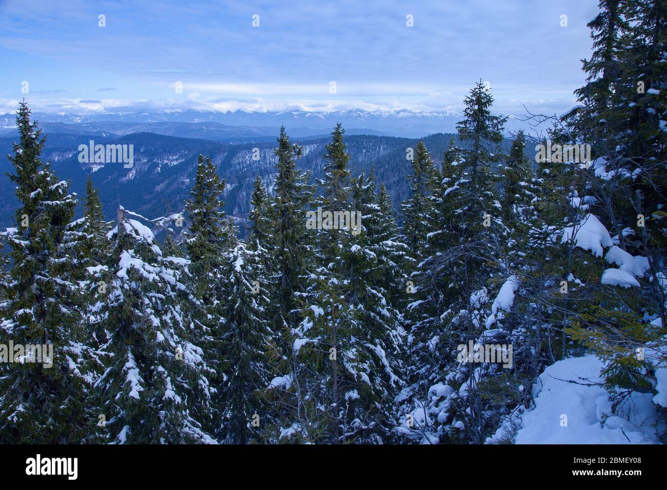 Vista dalle montagne di Poľana sul basso Tatra all'orizzonte lontano, Slovacchia Foto Stock