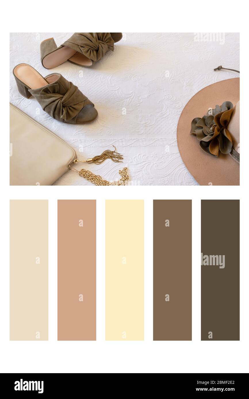 Abito femminile elegante autunno. Abito da donna in stile flatlay e tavolozza di colori, con campioni di colore gratuiti Foto Stock
