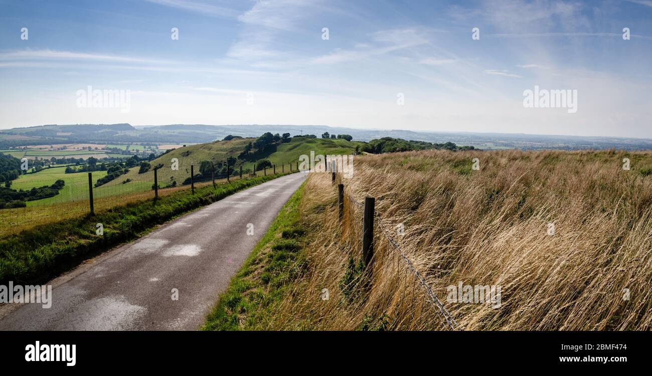 Una stretta corsia di campagna corre tra i campi di pascolo lungo la cresta di Bulbarrow Hill nel Dorset Downs, alto sopra la pianura agricola del Blac Foto Stock