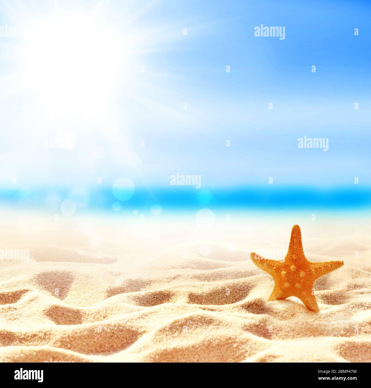 Paesaggio con stelle marine e conchiglia sulla spiaggia tropicale. Concetto estivo. Foto Stock