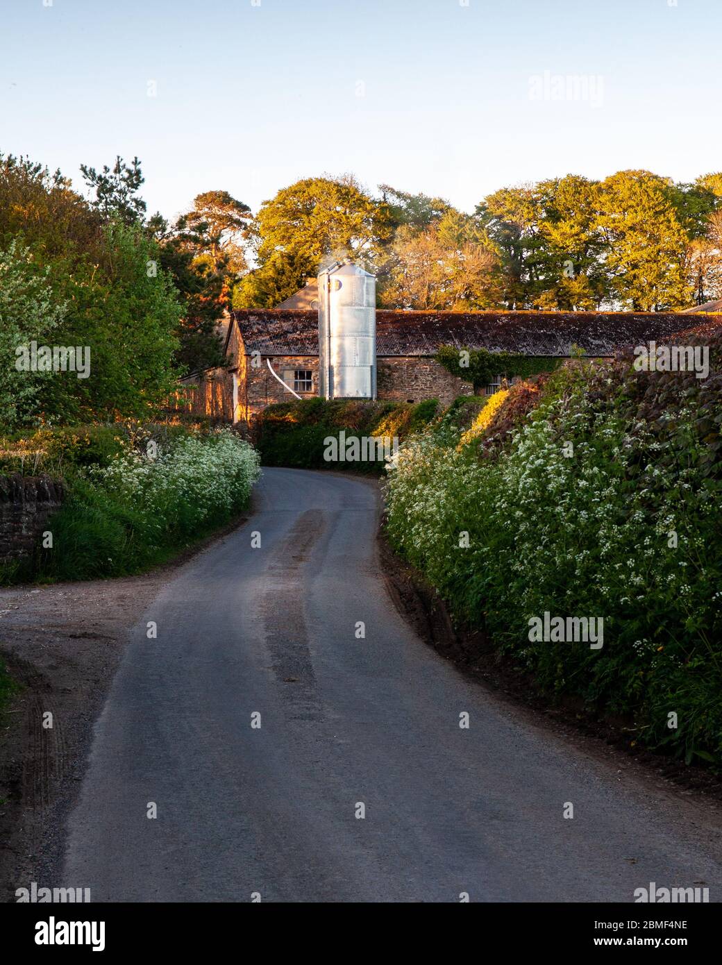 Henstridge, Inghilterra, Regno Unito - 16 maggio 2013: Il sole serale splende su un silo di grano e fienile tradizionale di pietra accanto ad una stretta e tortuosa strada di campagna a Henstrid Foto Stock