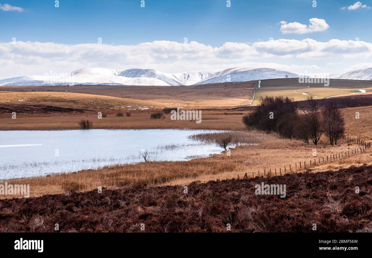 Le Howgill Fells del Yorkshire Dales National Park coperte di neve offrono lo sfondo per i Sunbiggin Moors e il lago Sunbiggin Tarn in Cumbria, E. Foto Stock