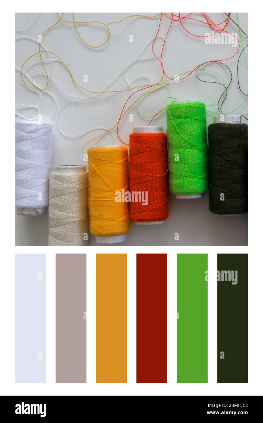 Vista dall'alto dei fili colorati da cucire in una tavolozza di colori, con campioni di colore gratuiti Foto Stock