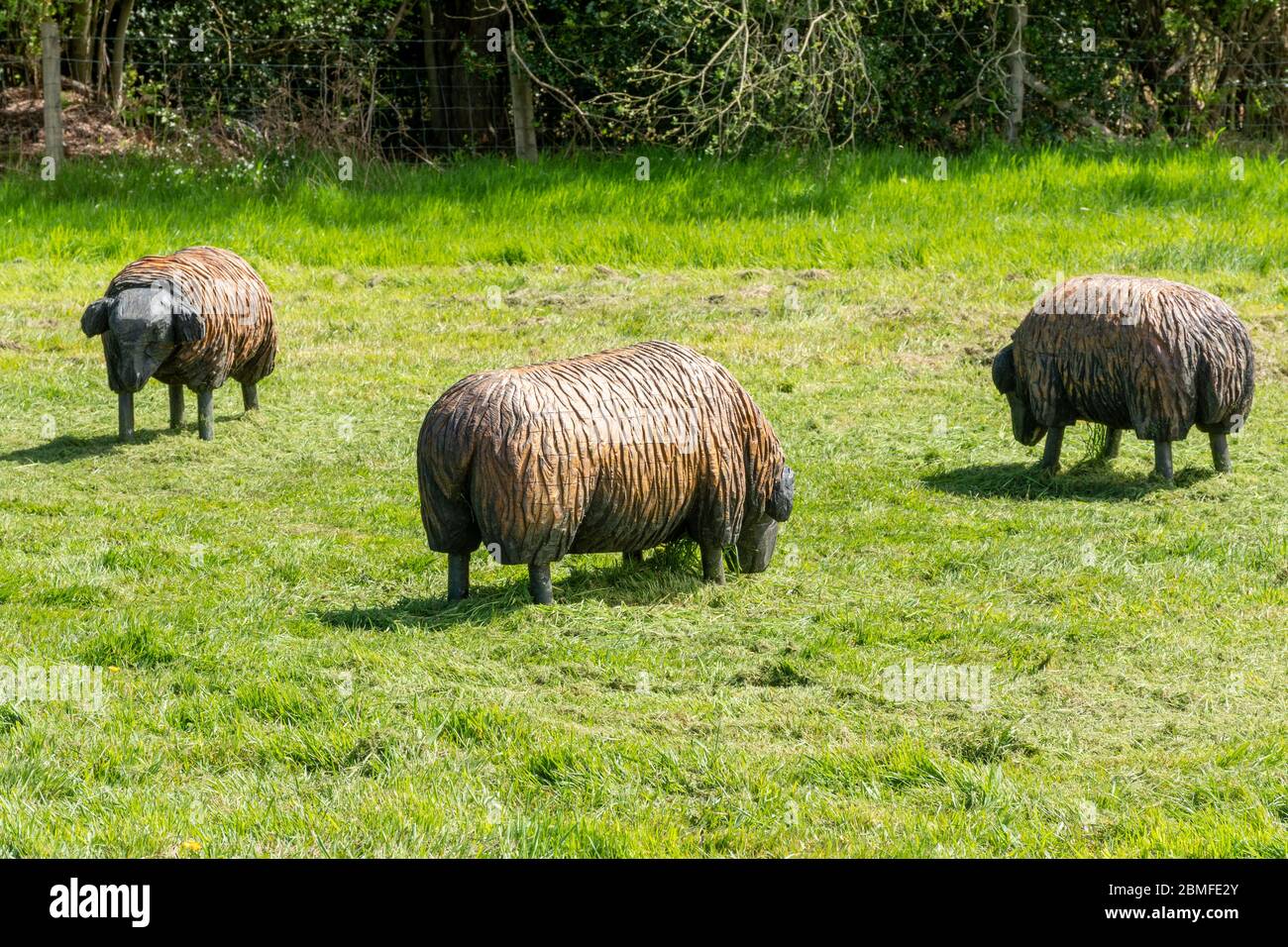 Bramshot Farm Country Park vicino a Fleet, Hampshire, Regno Unito Foto Stock