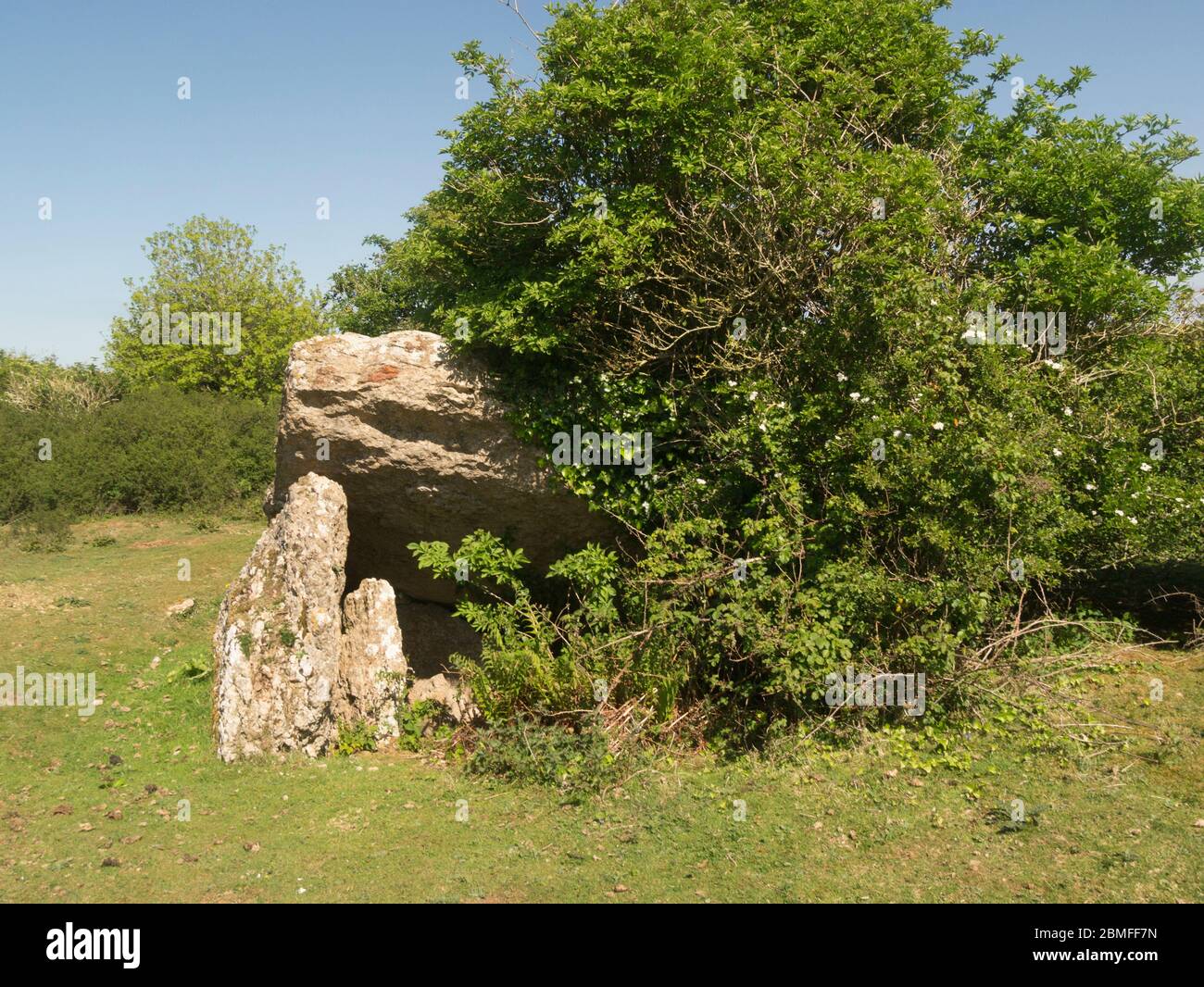 Pant y Saer Neolitico camera sepolcrale adagiato su un altopiano calcareo con tre lastre verticali che sostengono un cappasso Bennlech Isola di Anglesey Galles del Nord UK Foto Stock