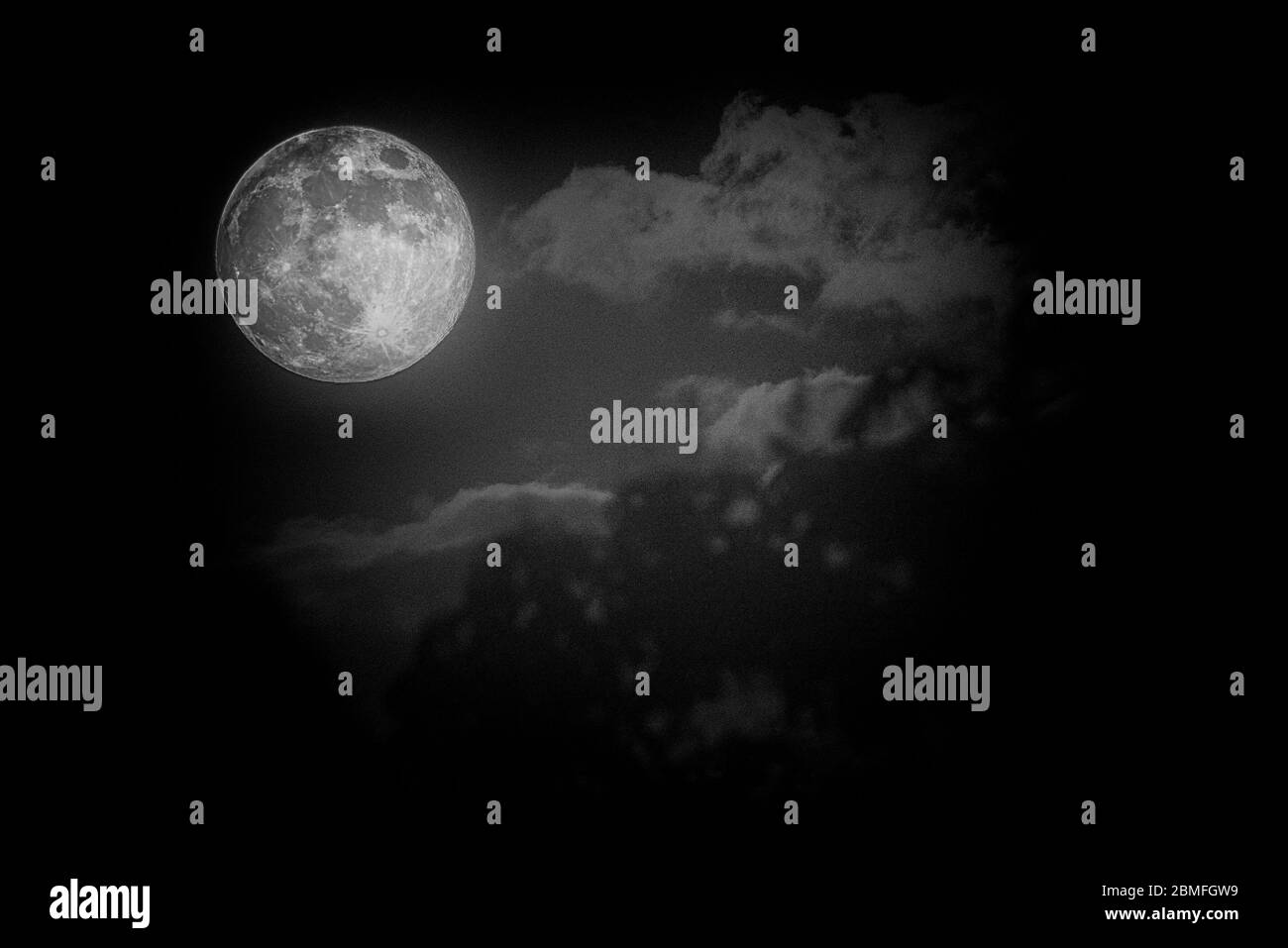 La Luna dei Fiori del 2020 incorniciata in parte da nuvole e foglie di alberi, Città di York, Regno Unito Foto Stock