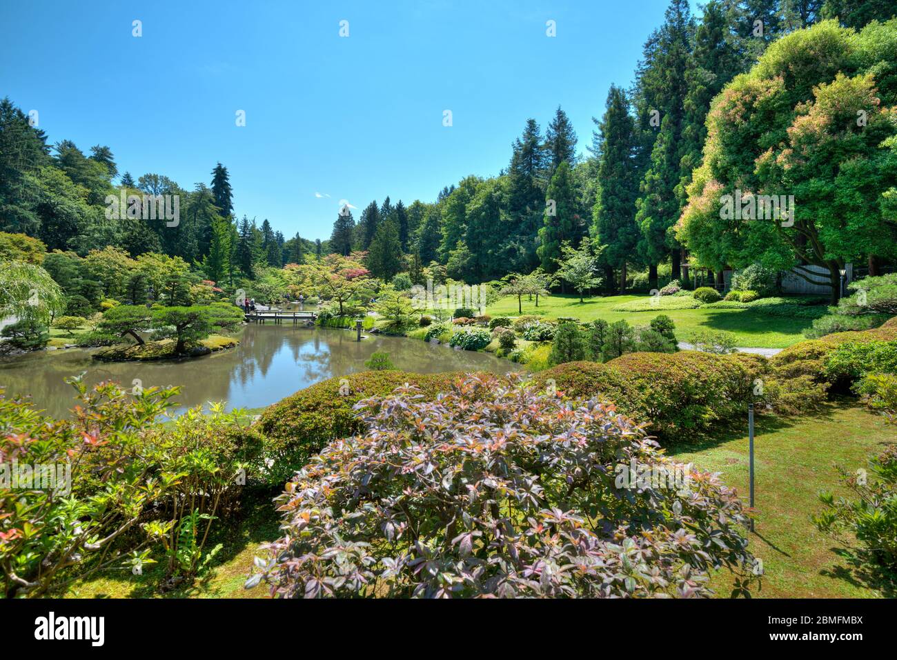 Giardino Giapponese al Washington Park Arboretum, Seattle, Washington state, Stati Uniti Foto Stock