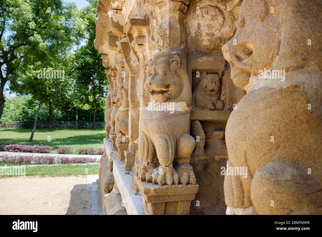 Statue di leoni mitologici scolpite sulle pareti esterne del Tempio di Kailasanathar in stile Dravidiano, Kanchipuram, Tamil Nadu, India. Foto Stock