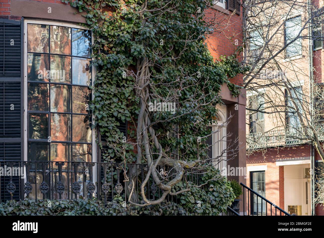 Una casa rivestita di edera nel maestoso quartiere Beacon Hill di Boston, Massachusetts. Foto Stock