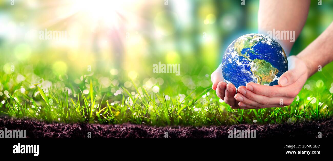 Mani che tiene il pianeta Terra sul suolo in un ambiente verde lussureggiante con la luce solare - il concetto di ambiente - alcuni elementi di questa immagine fornita dalla NASA Foto Stock