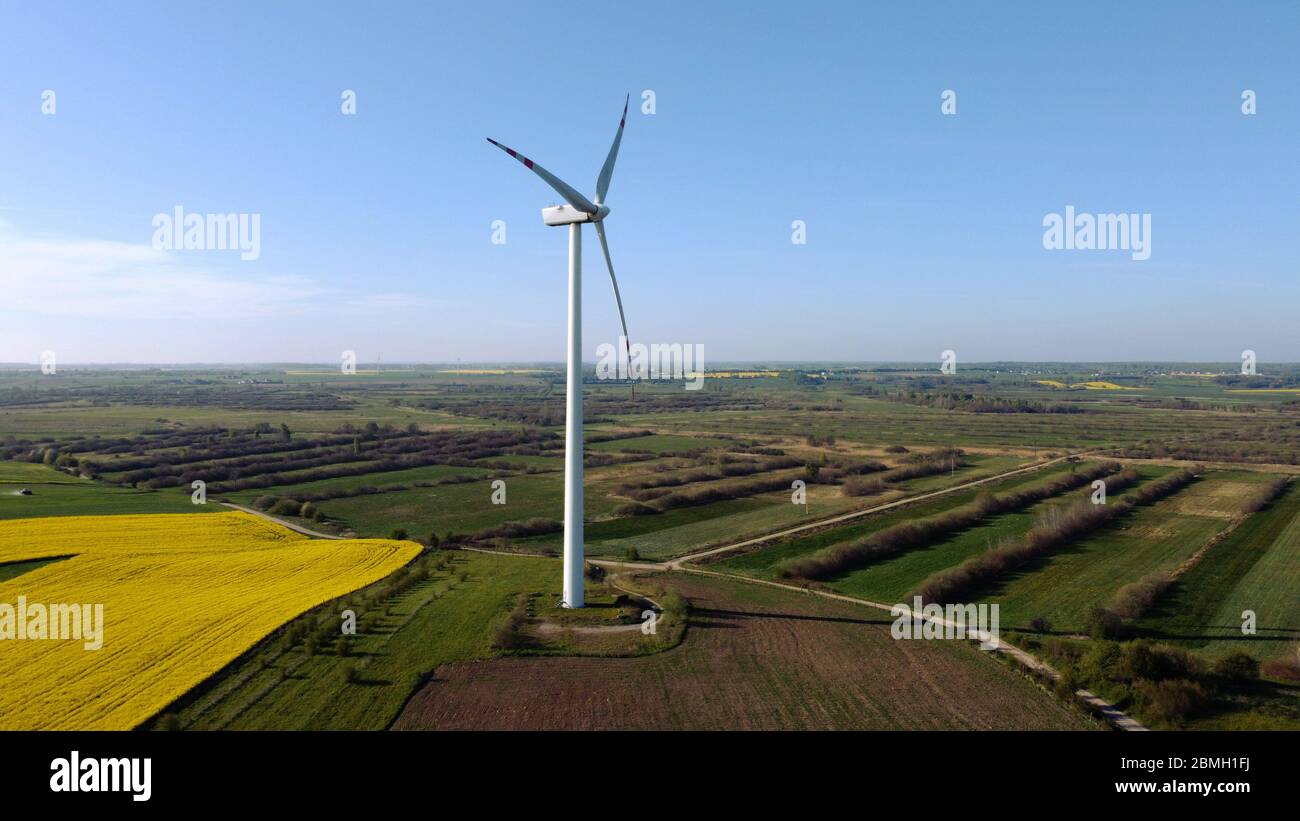 Turbina eolica circondata da campi agricoli in primavera. Pomerania. Polonia Foto Stock