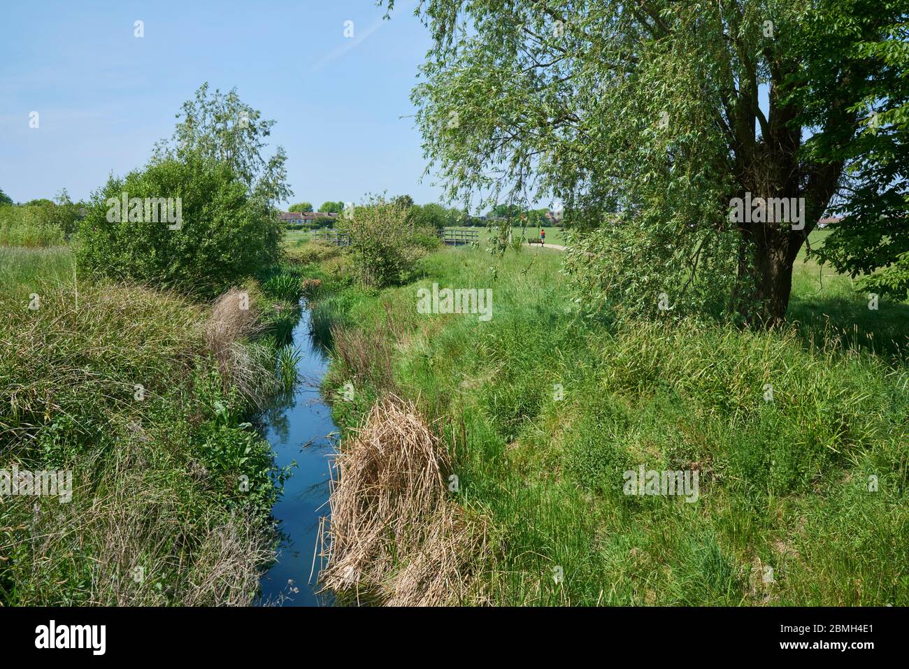 Terreno ricreativo di Lordship, Tottenham, Regno Unito del Nord di Londra, con il fiume Moselle, in estate Foto Stock