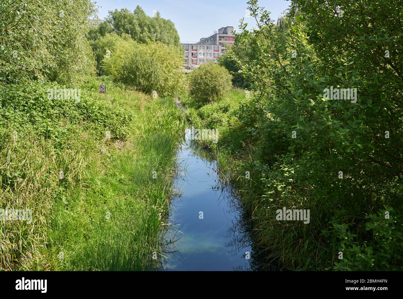 Il fiume Moselle sul Lordship Recreation Ground, Tottenham, North London, guardando verso Broadwater Farm Foto Stock